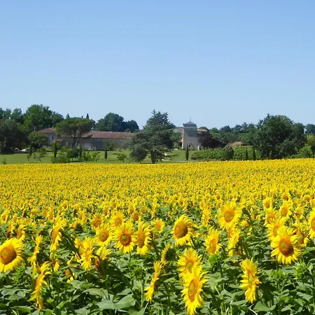 בית נופש Larroque-sur-l'osse Chateau Sleeps 12 Pool Wifi Larroque-sur-l'Osse