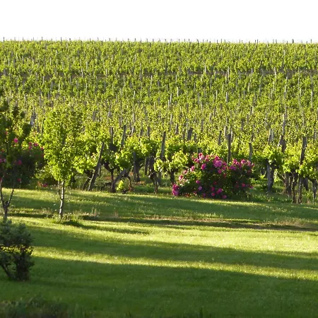 בית נופש Larroque-sur-l'osse Chateau Sleeps 12 Pool Wifi *